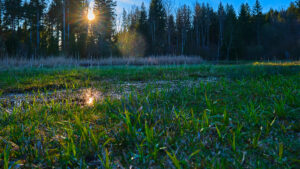 Fotografie by Dani Kreienbühl, Neudorf, KOMTAKT merk-würdig kommunizieren, www.komtakt.ch