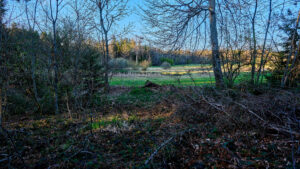 Fotografie by Dani Kreienbühl, Neudorf, KOMTAKT merk-würdig kommunizieren, www.komtakt.ch
